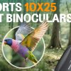 01-105.jpg Aurosports 10x25 Binoculars for Adults and Kids, Large View Compact Binoculars with Low Light Vision, Easy Focus Small Binoculars