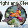 20x52 Binoculars for Adults High Powered - HD Large View Binoculars with Low Light Vision - Professional Binocular for Bird