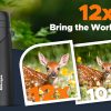 02-105.jpg Adorrgon 12x42 HD Binoculars for Adults High Powered with Phone Adapter, Tripod and Tripod Adapter - Large View Binocular