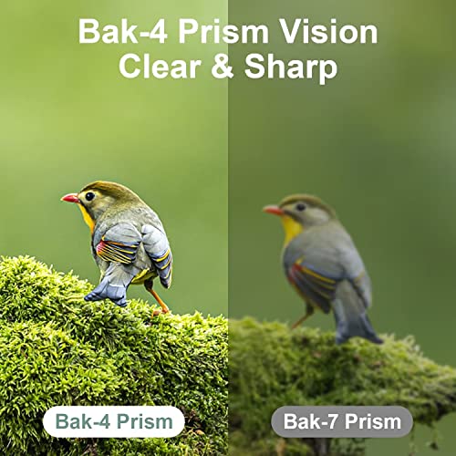 12X25 Mini Pocket Binoculars for Adults Kids, Small Compact Binoculars for Bird Watching, Concert