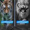 03-40.jpg 8001 Digital Night Vision Binoculars Built Tacticle Flashlight & 850nm Infrared HD Video Speaker Camera for Dark Hunting