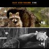 04-34.jpg Z080 Ultra HD 4K Night Vision Binoculars 600M Low Light Large Zoom for Hunting 3" Screen Dual Light Infrared Camera