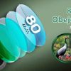 04-62.jpg Monoculars 80 x 100 High Power Monoculars Monoculars with Tripod for Adults Suitable for Bird Watching Large Field Monocular