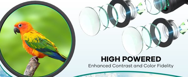 20x50 High Powered Binoculars for Adults, Waterproof Compact Binoculars with Low Light Vision for Bird Watching Hunting