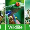 05-71.jpg Pirate Monocular Telescope for Kids and Adults, Handheld Foldable Brass Telescope 25x30 Zoomable Portable