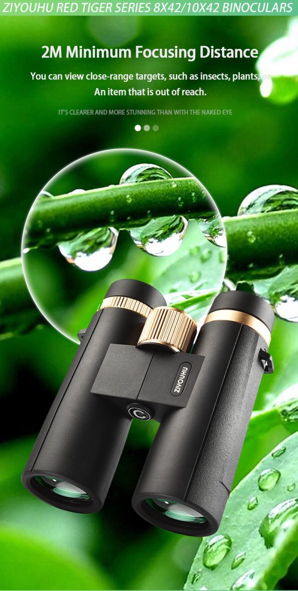 10-12.jpg 10X42D/8X42D Telescope High-Power UHD Day/Night Dual-User Outdoor Bee Finder Professional Binocular