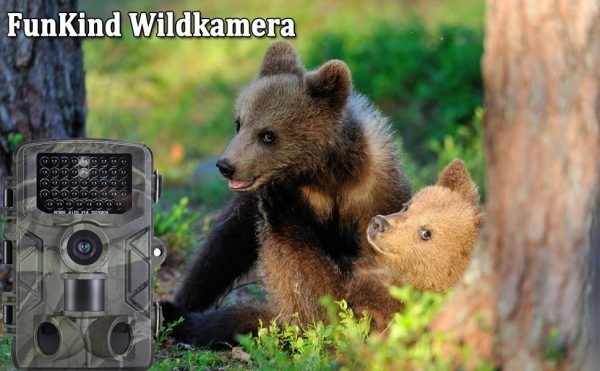 HC808A — Caméra de chasse 4K 50 MP, déclenchement 0,2 s, vision nocturne, IP65 HC808A — Caméra de chasse 4K 50 MP, déclenchement 0,2 s, vision nocturne, IP65 — vue 7