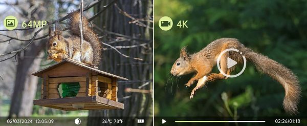 Caméra de chasse DL10 4K 64 MP — WiFi et Bluetooth, application avec carte, déclenchement 0,1 s, trépied inclus Caméra de chasse DL10 4K 64 MP — vue 7