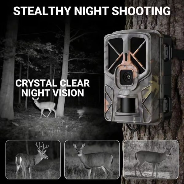 HC935A No Glow — Caméra de chasse 4K infrarouge invisible, 120°, IP66, jusqu'à 6 mois sur 8 piles AA HC935A No Glow — Caméra de chasse 4K infrarouge invisible, 120°, IP66, jusqu’à 6 — vue 9