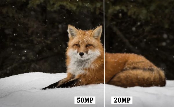 HC808A — Caméra de chasse 4K 50 MP, déclenchement 0,2 s, vision nocturne, IP65 HC808A — Caméra de chasse 4K 50 MP, déclenchement 0,2 s, vision nocturne, IP65 — vue 8