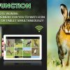 Lunette de vision nocturne WiFi — 960p, portée 300 m, illuminateur IR à zoom, viseur point rouge, mallette et carte 32 Go incluses Lunette de vision nocturne WiFi — vue 11