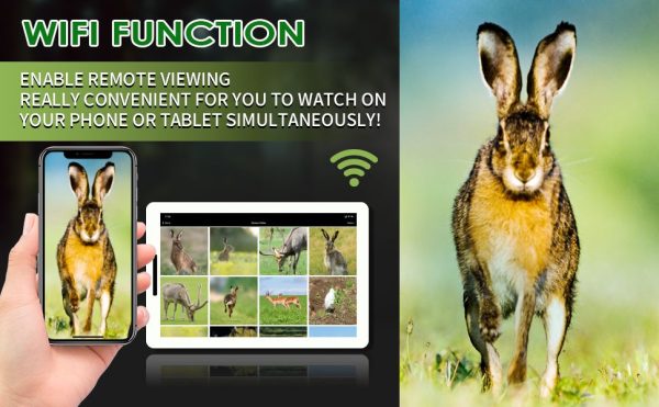 Lunette de vision nocturne WiFi — 960p, portée 300 m, illuminateur IR à zoom, viseur point rouge, mallette et carte 32 Go incluses Lunette de vision nocturne WiFi — vue 11