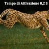 HC808A — Caméra de chasse 4K 50 MP, déclenchement 0,2 s, vision nocturne, IP65 HC808A — Caméra de chasse 4K 50 MP, déclenchement 0,2 s, vision nocturne, IP65 — vue 10