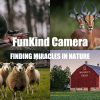 HC808A — Caméra de chasse 4K 50 MP, déclenchement 0,2 s, vision nocturne, IP65 HC808A — Caméra de chasse 4K 50 MP, déclenchement 0,2 s, vision nocturne, IP65 — vue 11