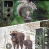 LCK229 — Caméra de chasse 4K 48 MP, vision nocturne discrète 850 nm, IP67, écran 2" LCK229 — Caméra de chasse 4K 48 MP, vision nocturne discrète 850 nm, IP67, écran — vue 13