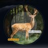 Jumelles ED YW03 10x42 — verre faible dispersion, prisme BAK4, oculaires 24 mm, étanches Jumelles ED YW03 10×42 — vue 14
