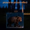 Lunette de vision nocturne 4K — vue 13