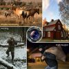 PR3000 — Caméra de chasse 16 MP 1080p, écran 2", PIR 120°, flash IR 15 m, double verrou PR3000 — Caméra de chasse 16 MP 1080p, écran 2″, PIR 120°, flash IR 15 m, double — vue 14