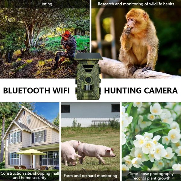 Caméra de chasse 8K 60 MP solaire — WiFi et application, batterie 5200 mAh, PIR 120° Caméra de chasse 8K 60 MP solaire — vue 18