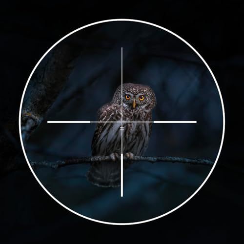 NV4A GOYOJO — Module clip-on de vision nocturne 1920p, 200-350 m, 280 g, relecture intégrée NV4A GOYOJO — Module clip-on de vision nocturne 1920p, 200-350 m, 280 g, relectu — vue 2