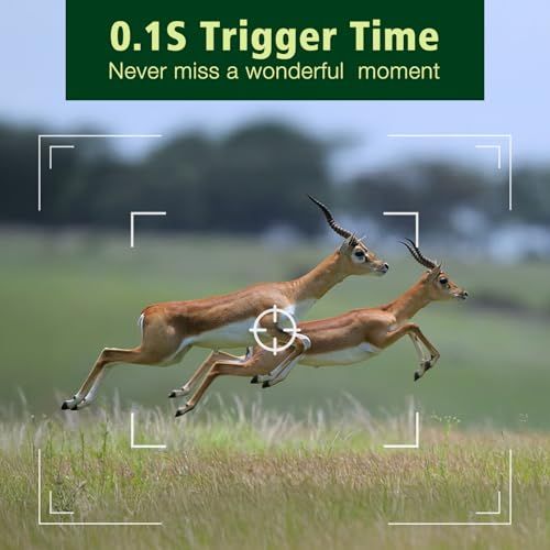 Caméra de chasse DL10 4K 64 MP — WiFi et Bluetooth, application avec carte, déclenchement 0,1 s, trépied inclus Caméra de chasse DL10 4K 64 MP — vue 3