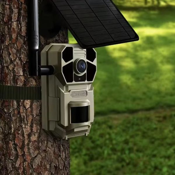 Caméra de chasse 4G LTE solaire — vision nocturne couleur, audio bidirectionnel, IP66, cloud gratuit Caméra de chasse 4G LTE solaire — vue 4