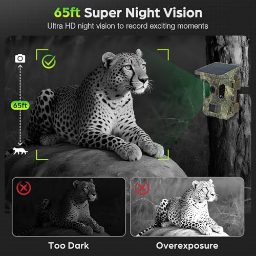 Caméra de chasse 4K 64 MP solaire — vue 4