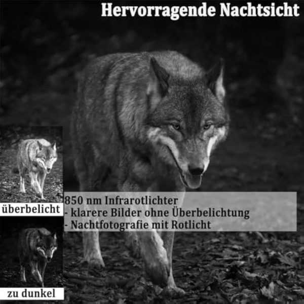 HC808A — Caméra de chasse 4K 50 MP, déclenchement 0,2 s, vision nocturne, IP65 HC808A — Caméra de chasse 4K 50 MP, déclenchement 0,2 s, vision nocturne, IP65 — vue 4