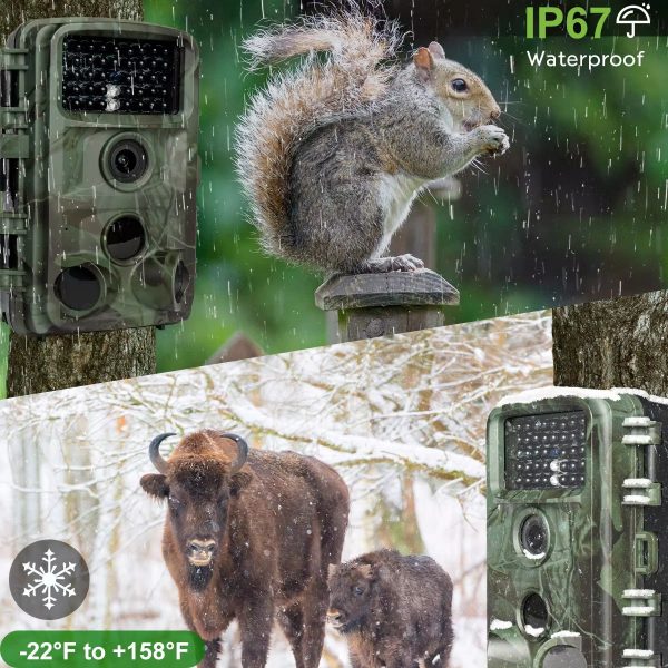 LCK229 — Caméra de chasse 4K 48 MP, vision nocturne discrète 850 nm, IP67, écran 2" LCK229 — Caméra de chasse 4K 48 MP, vision nocturne discrète 850 nm, IP67, écran — vue 4