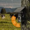Mini900Pro — Caméra de chasse 4G solaire, alertes temps réel, GPS, vidéo 2K, IP65 Mini900Pro — Caméra de chasse 4G solaire, alertes temps réel, GPS, vidéo 2K, IP6 — vue 5