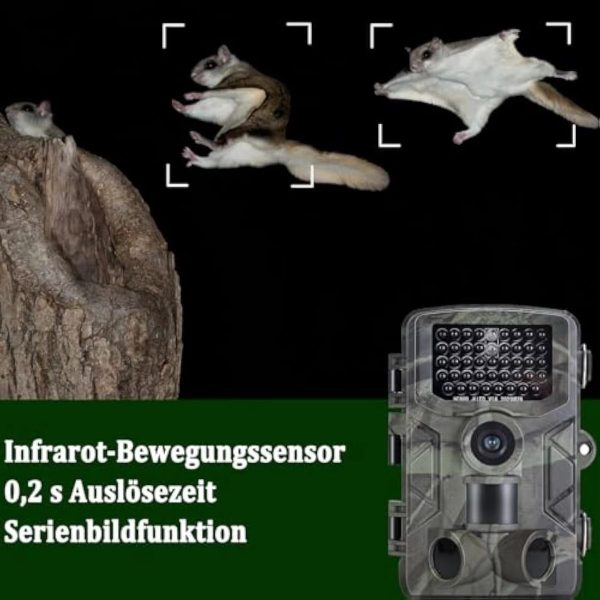 HC808A — Caméra de chasse 4K 50 MP, déclenchement 0,2 s, vision nocturne, IP65 HC808A — Caméra de chasse 4K 50 MP, déclenchement 0,2 s, vision nocturne, IP65 — vue 5