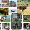 LCK229 — Caméra de chasse 4K 48 MP, vision nocturne discrète 850 nm, IP67, écran 2" LCK229 — Caméra de chasse 4K 48 MP, vision nocturne discrète 850 nm, IP67, écran — vue 7