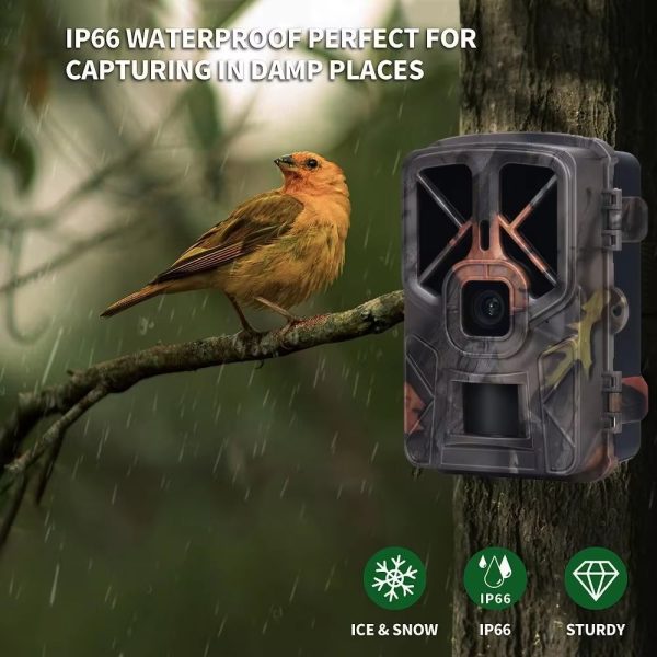 HC935A No Glow — Caméra de chasse 4K infrarouge invisible, 120°, IP66, jusqu'à 6 mois sur 8 piles AA HC935A No Glow — Caméra de chasse 4K infrarouge invisible, 120°, IP66, jusqu’à 6 — vue 7