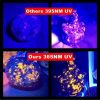 Lampe UV 365 nm 20 W — 4 LED, filtre noir, portée 50 m, USB-C et batterie externe, IPX6 Lampe UV 365 nm 20 W — vue 7