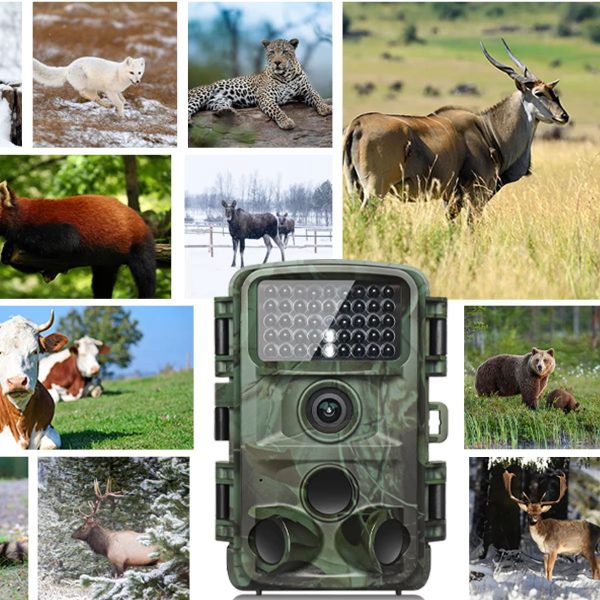 LCK229 — Caméra de chasse 4K 48 MP, vision nocturne discrète 850 nm, IP67, écran 2" LCK229 — Caméra de chasse 4K 48 MP, vision nocturne discrète 850 nm, IP67, écran — vue 7