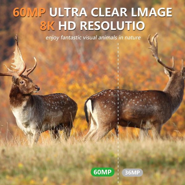 Caméra de chasse 8K 60 MP solaire — WiFi et application, batterie 5200 mAh, PIR 120° Caméra de chasse 8K 60 MP solaire — vue 9